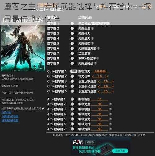 堕落之主:专属武器选择与推荐指南——探寻最佳战斗伙伴