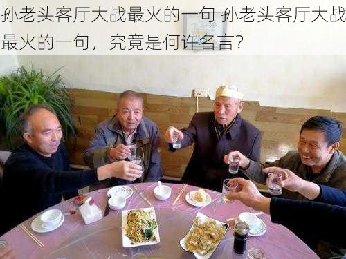 孙老头客厅大战最火的一句 孙老头客厅大战最火的一句,究竟是何许名言?