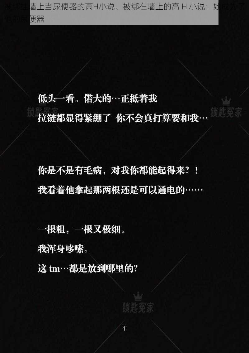 被绑挂墙上当尿便器的高H小说、被绑在墙上的高 H 小说:她成为了他的尿便器