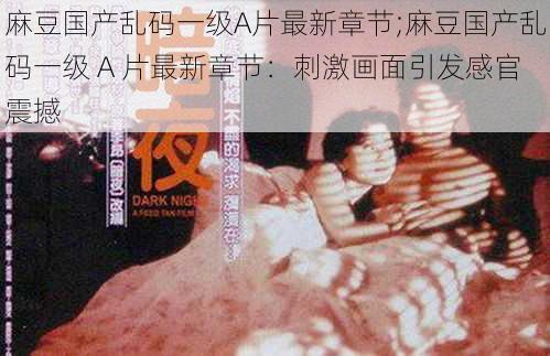 麻豆国产乱码一级A片最新章节;麻豆国产乱码一级 A 片最新章节:刺激画面引发感官震撼