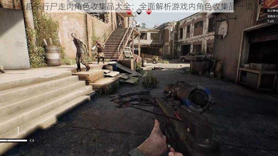 超杀行尸走肉角色收集品大全:全面解析游戏内角色收集品一览