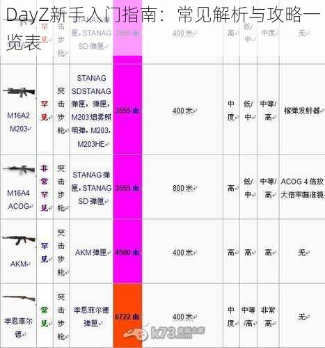 DayZ新手入门指南:常见解析与攻略一览表