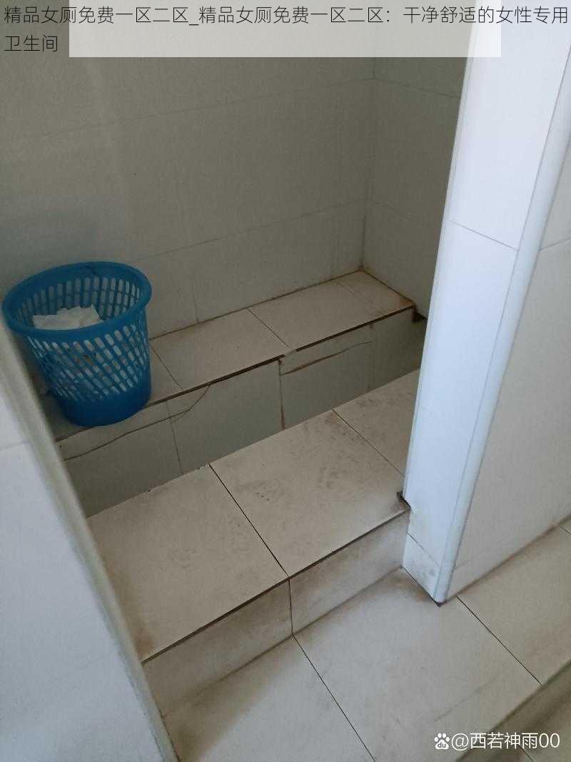 精品女厕免费一区二区_精品女厕免费一区二区:干净舒适的女性专用卫生间