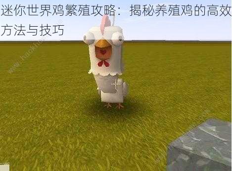迷你世界鸡繁殖攻略:揭秘养殖鸡的高效方法与技巧