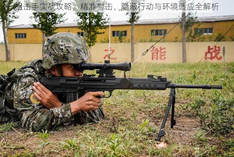 狙击手实战攻略:精准射击、隐蔽行动与环境适应全解析