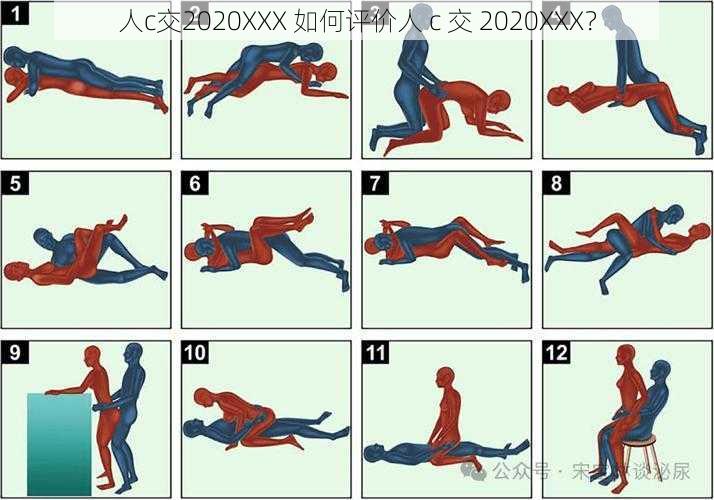 人c交2020XXX 如何评价人 c 交 2020XXX?