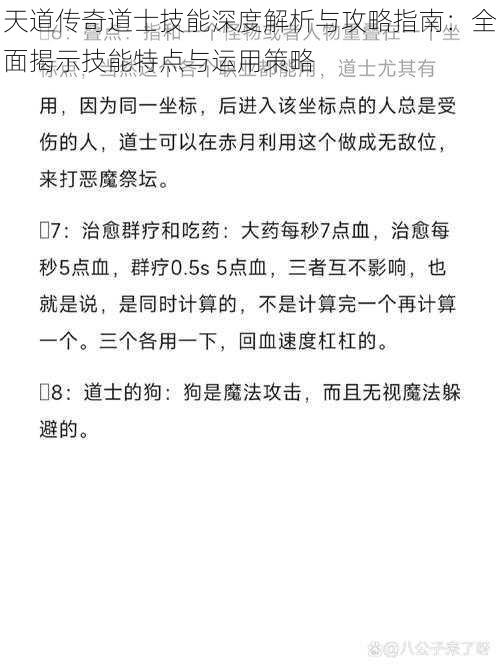 天道传奇道士技能深度解析与攻略指南:全面揭示技能特点与运用策略