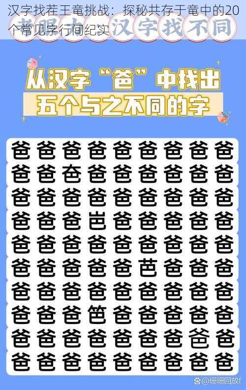 汉字找茬王竜挑战:探秘共存于竜中的20个常见字行间纪实