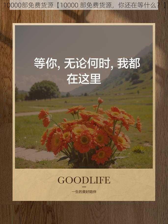 10000部免费货源【10000 部免费货源,你还在等什么?】
