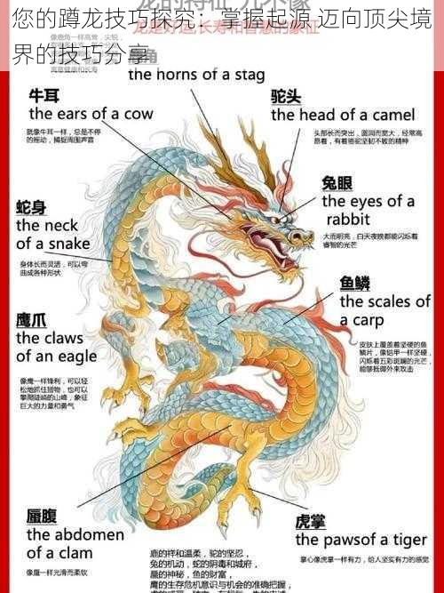 您的蹲龙技巧探究:掌握起源 迈向顶尖境界的技巧分享