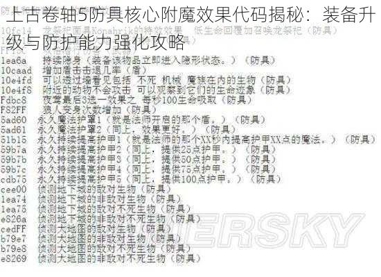 上古卷轴5防具核心附魔效果代码揭秘:装备升级与防护能力强化攻略