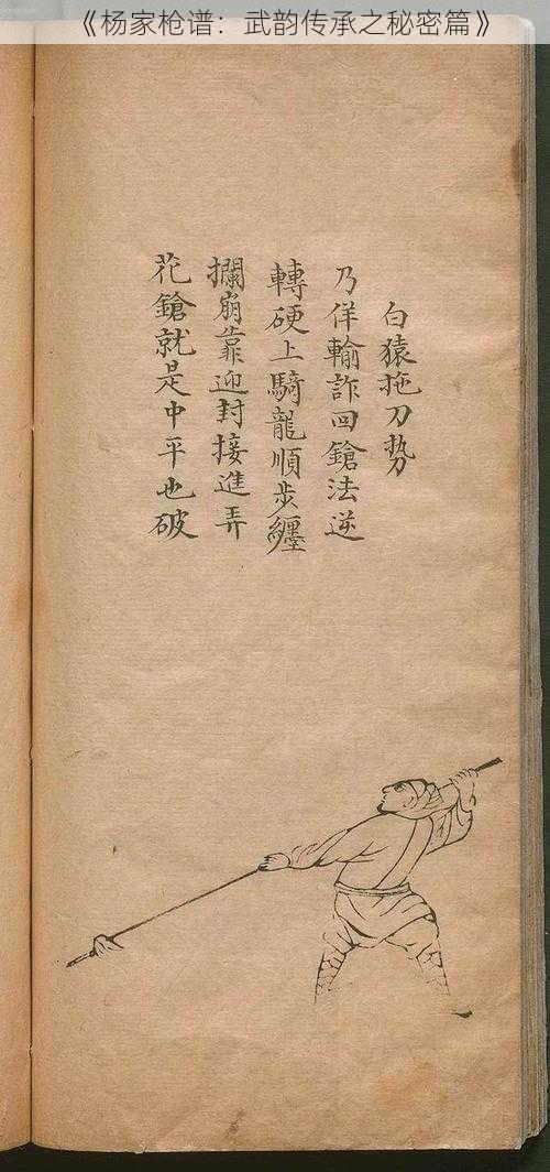 《杨家枪谱:武韵传承之秘密篇》