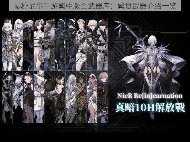 揭秘尼尔手游繁中版全武器库:繁复武器介绍一览