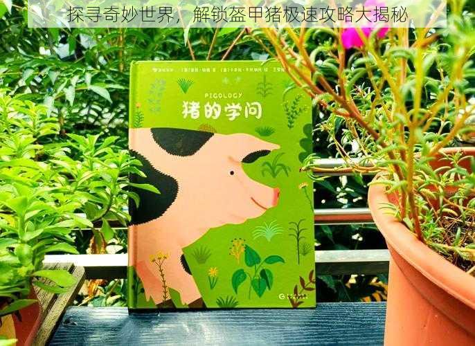 探寻奇妙世界,解锁盔甲猪极速攻略大揭秘