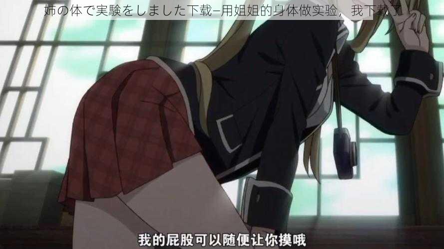 姉の体で実験をしました下载—用姐姐的身体做实验,我下载了