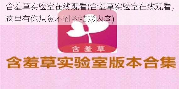含羞草实验室在线观看(含羞草实验室在线观看,这里有你想象不到的精彩内容)