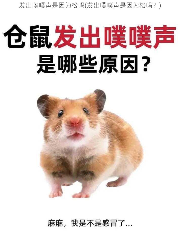 发出噗噗声是因为松吗(发出噗噗声是因为松吗?)