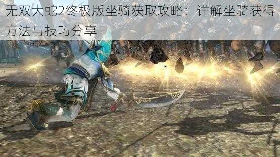 无双大蛇2终极版坐骑获取攻略:详解坐骑获得方法与技巧分享