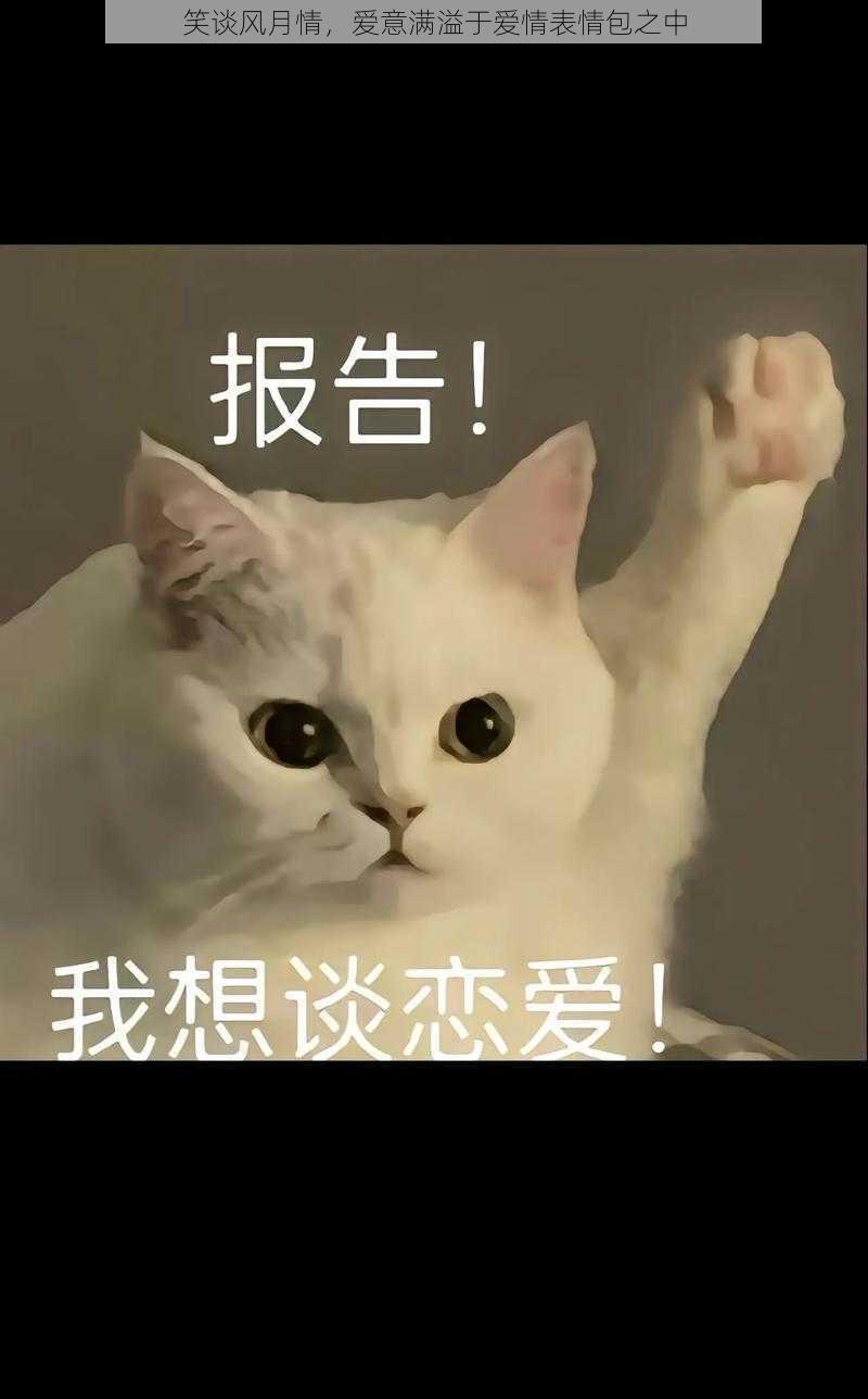 笑谈风月情,爱意满溢于爱情表情包之中
