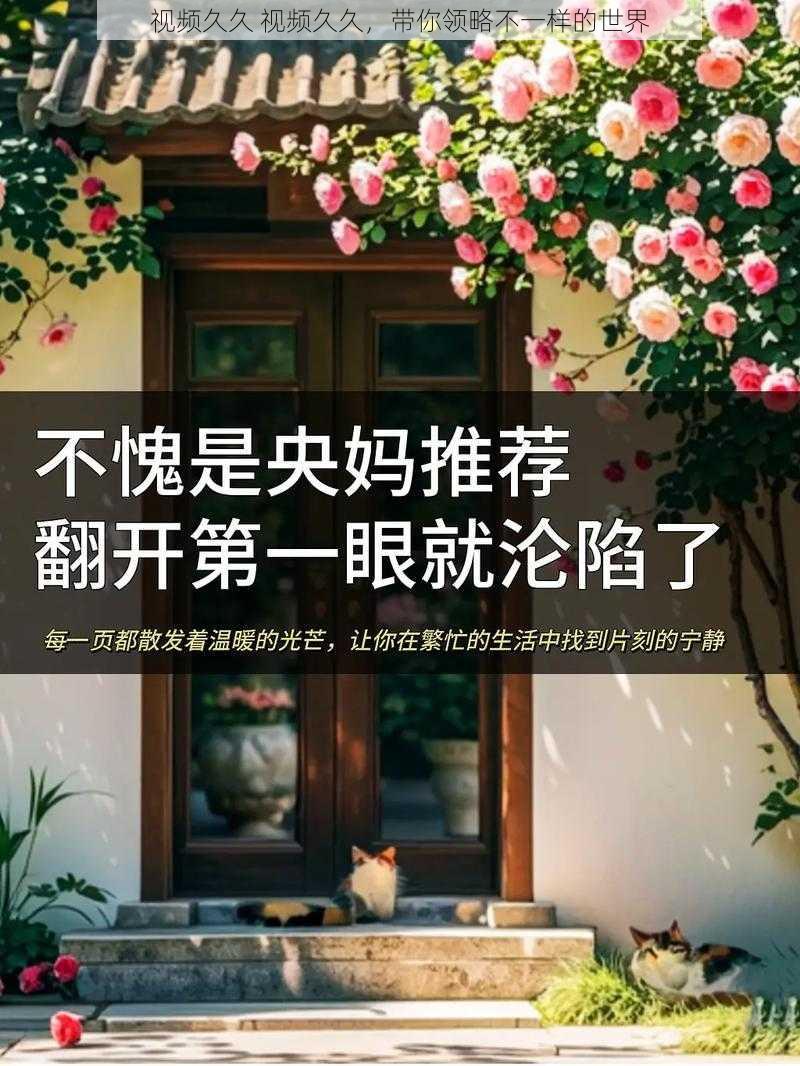视频久久 视频久久,带你领略不一样的世界