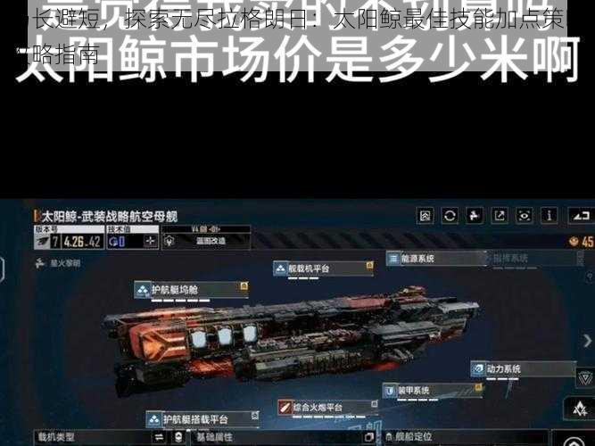 扬长避短,探索无尽拉格朗日:太阳鲸最佳技能加点策略攻略指南