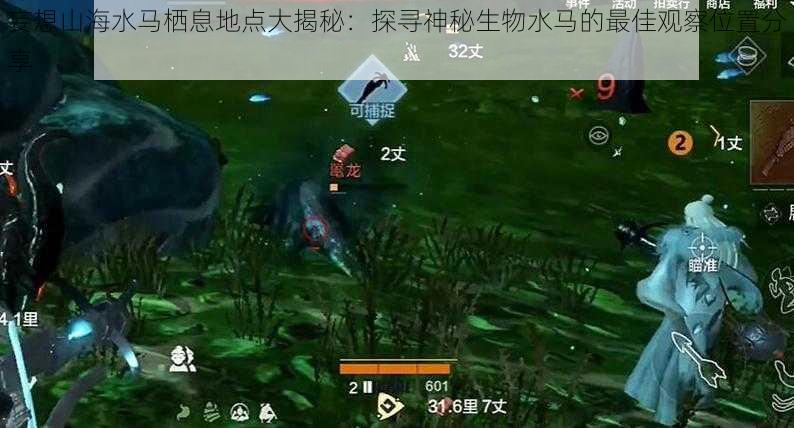 妄想山海水马栖息地点大揭秘:探寻神秘生物水马的最佳观察位置分享
