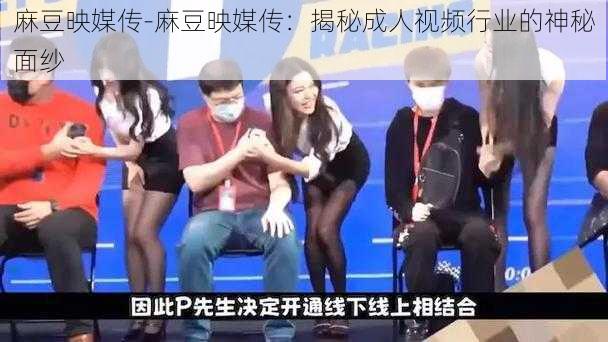 麻豆映媒传-麻豆映媒传:揭秘成人视频行业的神秘面纱