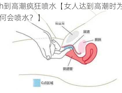 h到高潮疯狂喷水【女人达到高潮时为何会喷水?】