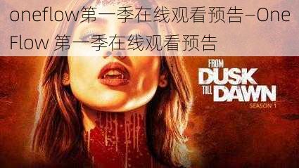 oneflow第一季在线观看预告—OneFlow 第一季在线观看预告