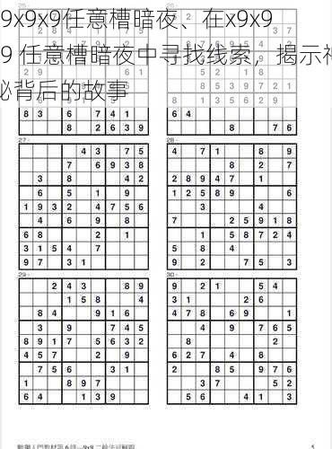 x9x9x9任意槽暗夜、在x9x9x9 任意槽暗夜中寻找线索,揭示神秘背后的故事