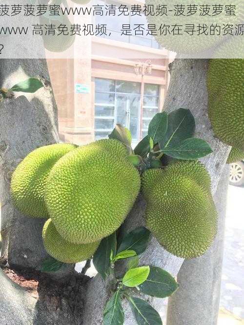 菠萝菠萝蜜www高清免费视频-菠萝菠萝蜜 www 高清免费视频,是否是你在寻找的资源?