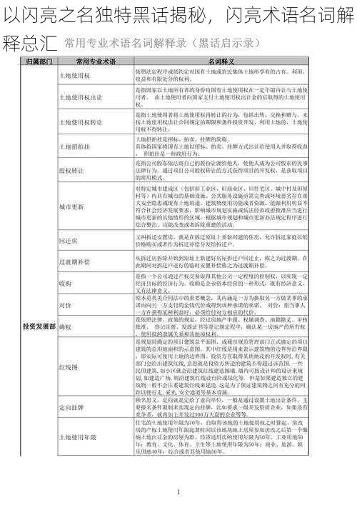 以闪亮之名独特黑话揭秘,闪亮术语名词解释总汇