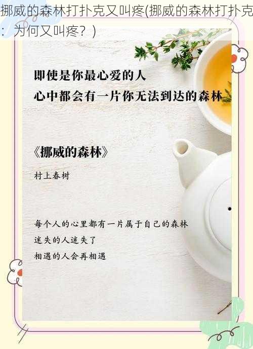 挪威的森林打扑克又叫疼(挪威的森林打扑克:为何又叫疼?)