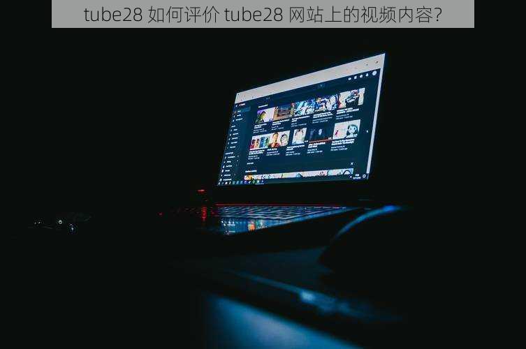 tube28 如何评价 tube28 网站上的视频内容?