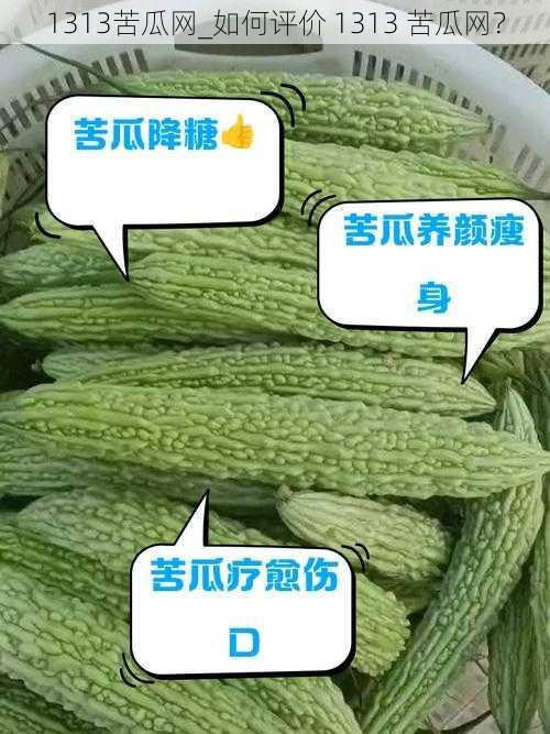 1313苦瓜网_如何评价 1313 苦瓜网?