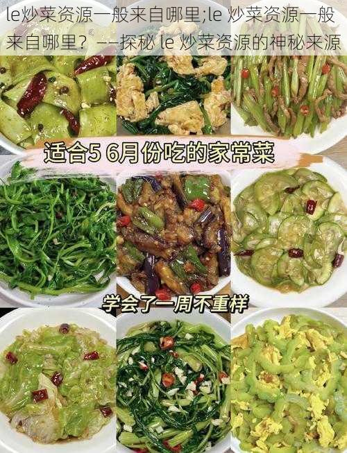 le炒菜资源一般来自哪里;le 炒菜资源一般来自哪里?——探秘 le 炒菜资源的神秘来源