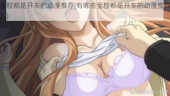 全程都是开车的动漫推荐(有哪些全程都是开车的动漫推荐?)