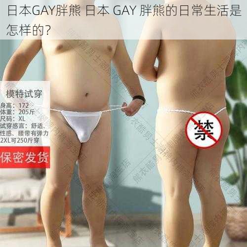 日本GAY胖熊 日本 GAY 胖熊的日常生活是怎样的?
