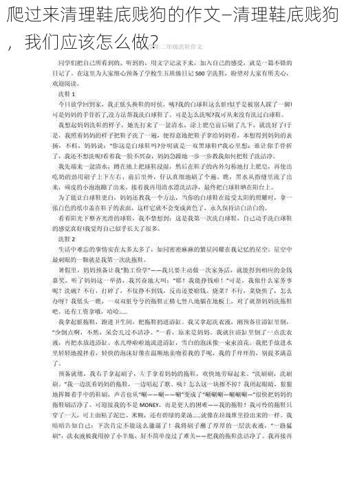 爬过来清理鞋底贱狗的作文—清理鞋底贱狗,我们应该怎么做?