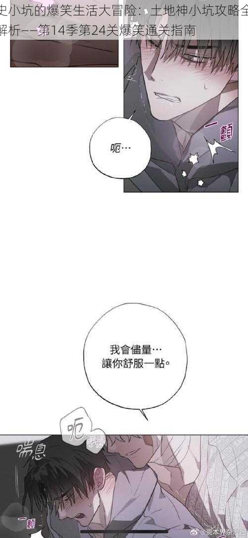 史小坑的爆笑生活大冒险:土地神小坑攻略全解析——第14季第24关爆笑通关指南