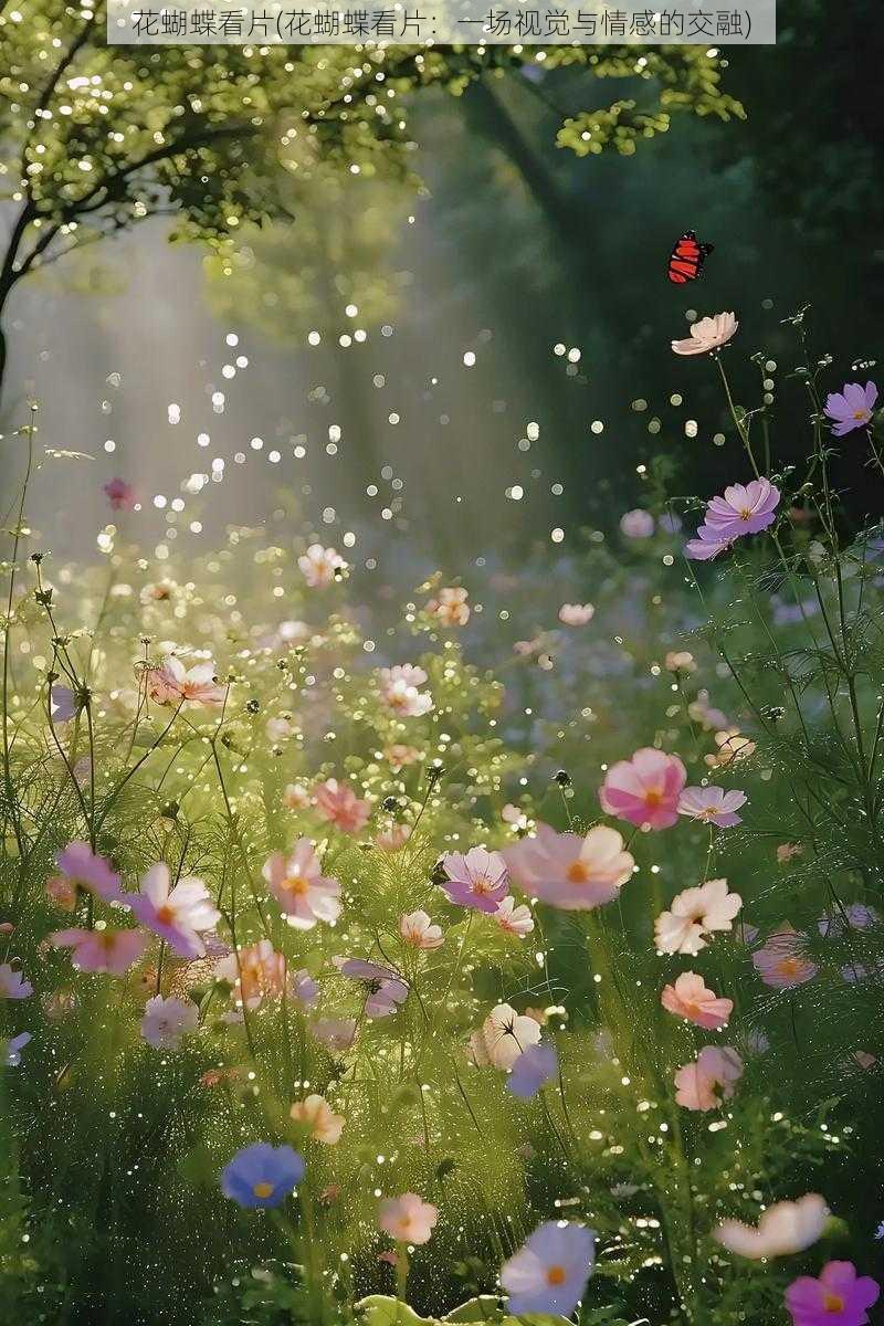 花蝴蝶看片(花蝴蝶看片:一场视觉与情感的交融)