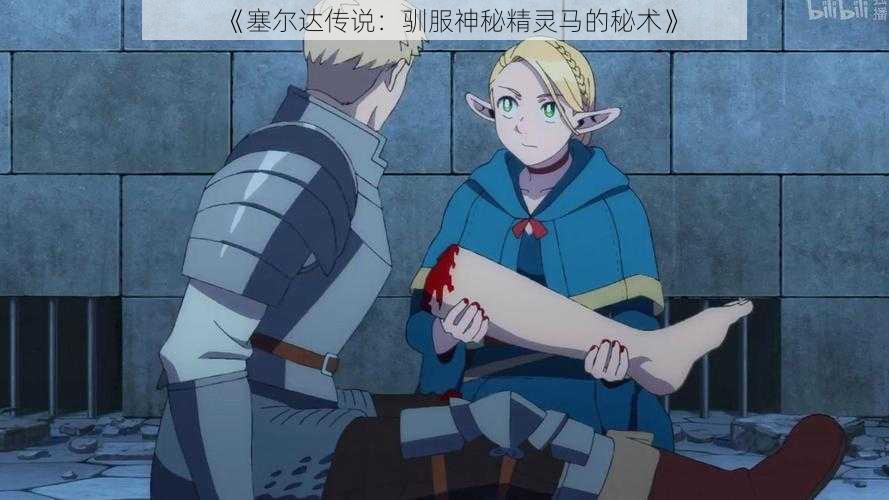 《塞尔达传说:驯服神秘精灵马的秘术》