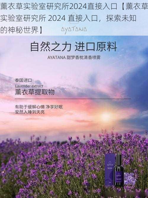 薰衣草实验室研究所2024直接入口【薰衣草实验室研究所 2024 直接入口,探索未知的神秘世界】