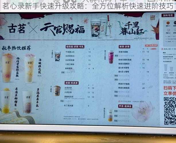 茗心录新手快速升级攻略:全方位解析快速进阶技巧
