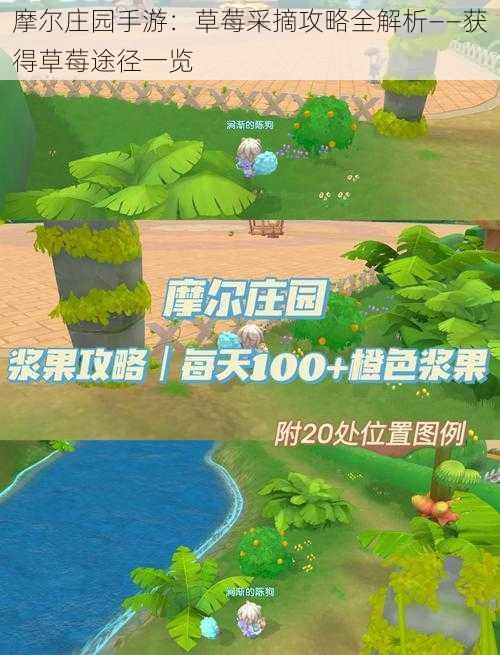 摩尔庄园手游:草莓采摘攻略全解析——获得草莓途径一览