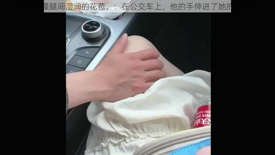 公交车摸腿间湿润的花苞、:在公交车上,他的手伸进了她的裙子里
