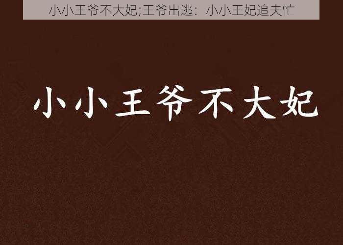 小小王爷不大妃;王爷出逃:小小王妃追夫忙