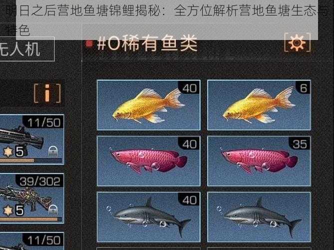 明日之后营地鱼塘锦鲤揭秘:全方位解析营地鱼塘生态与特色