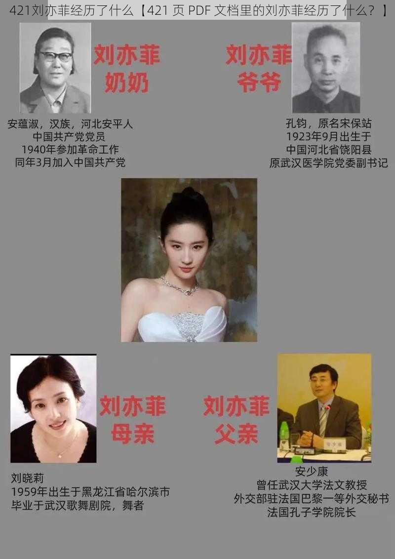 421刘亦菲经历了什么【421 页 PDF 文档里的刘亦菲经历了什么?】