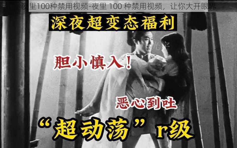夜里100种禁用视频-夜里 100 种禁用视频,让你大开眼界